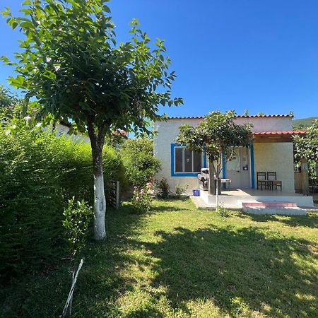 Elbasan Backpacker Hostel Kültér fotó