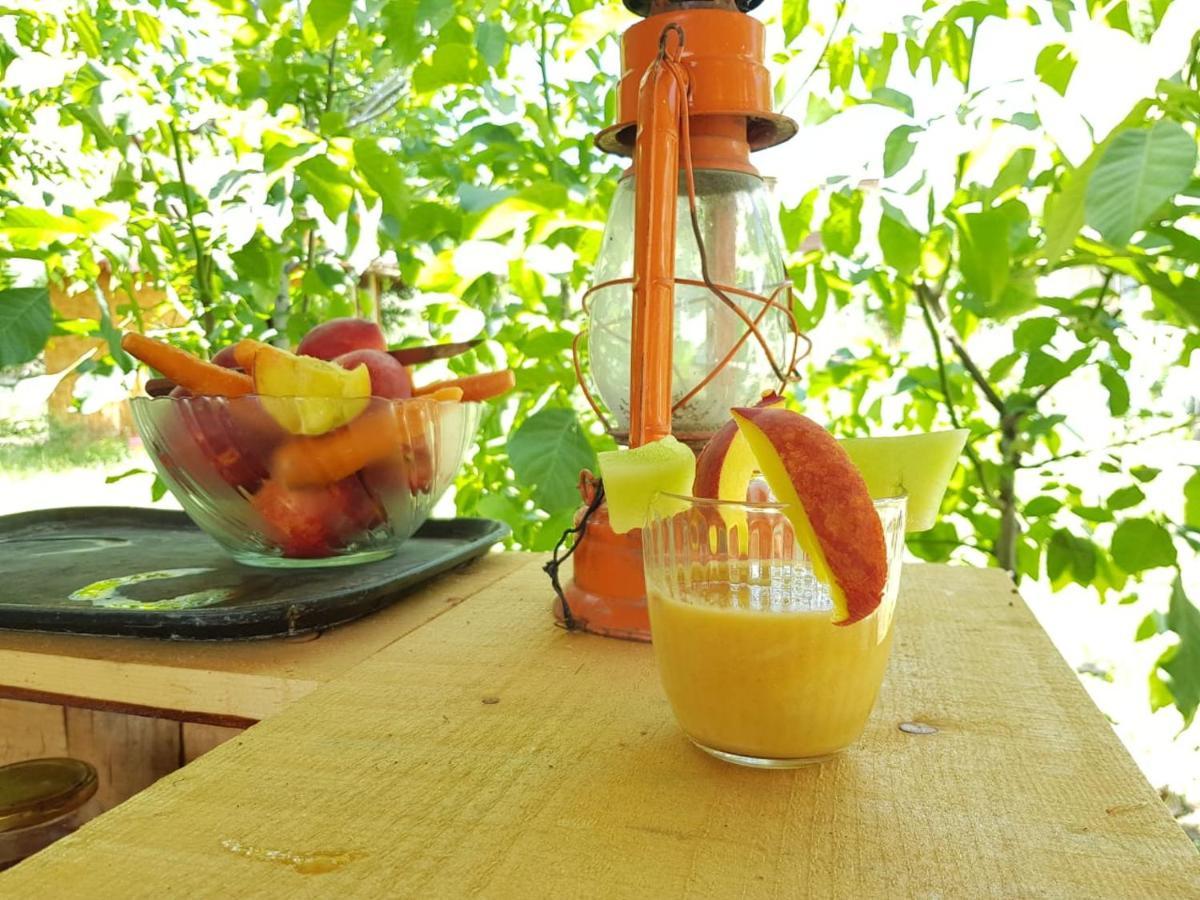 Elbasan Backpacker Hostel Kültér fotó