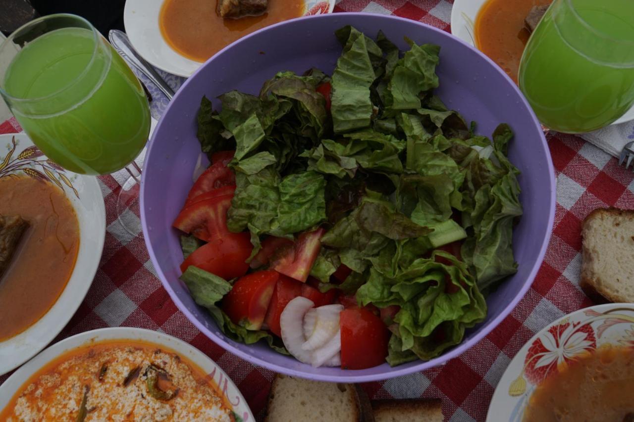 Elbasan Backpacker Hostel Kültér fotó