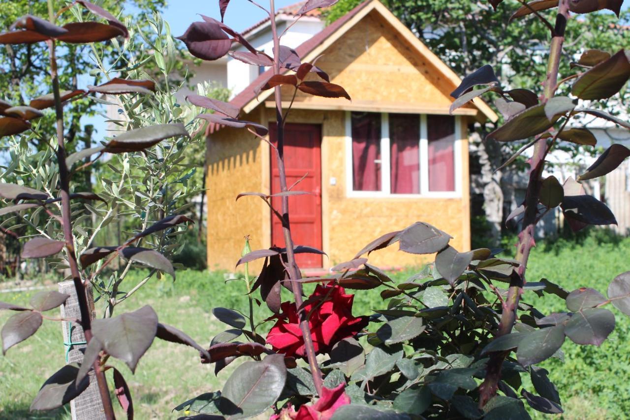 Elbasan Backpacker Hostel Kültér fotó